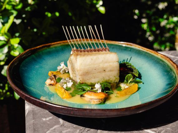 Summer Menu - Innovation