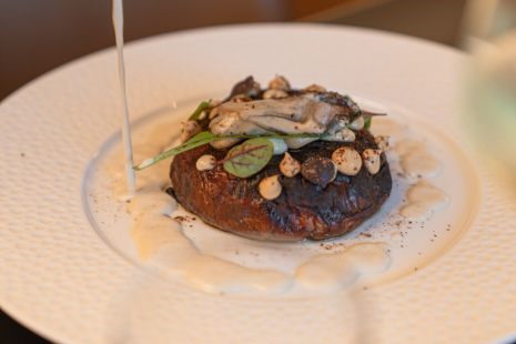 Pannacotta - PanEVO